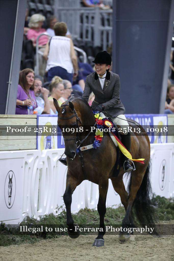 Proof 25R13_10918