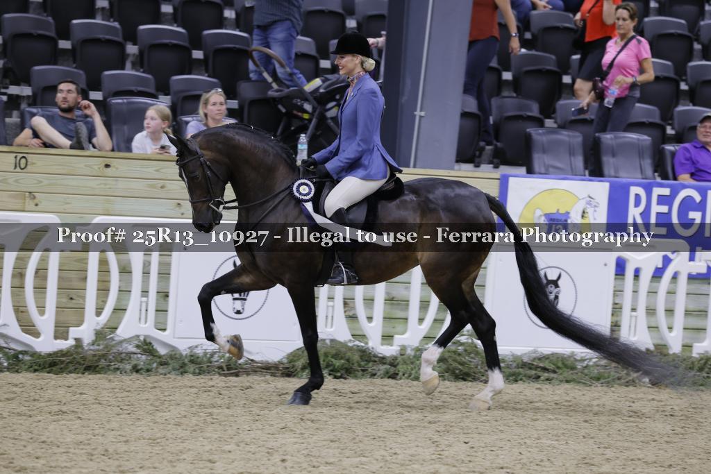 Proof 25R13_10927