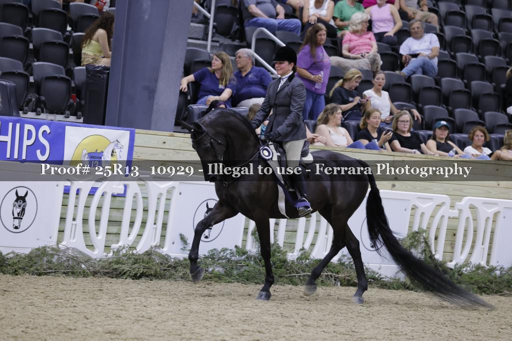 Proof 25R13_10929