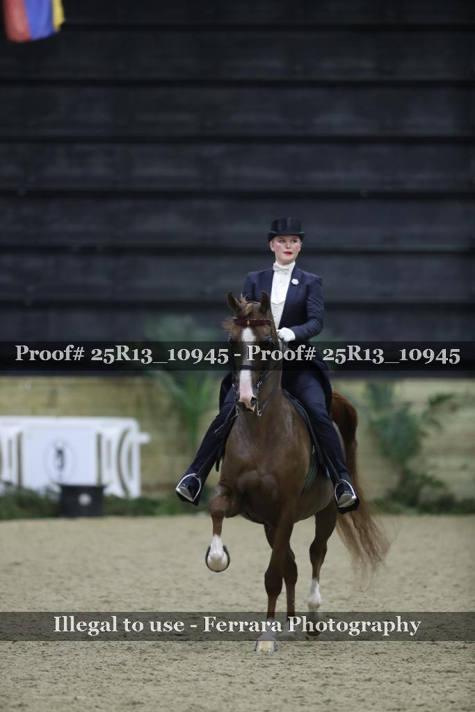 Proof 25R13_10945