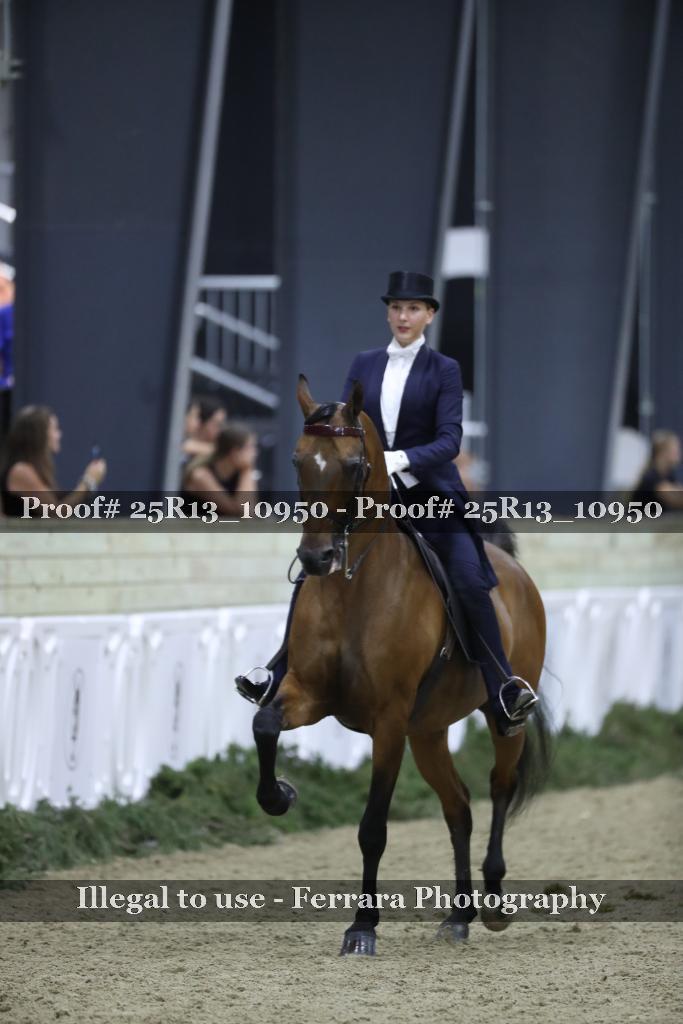 Proof 25R13_10950