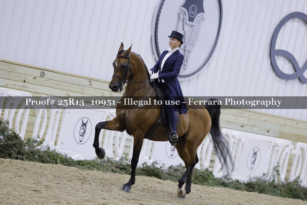 Proof 25R13_10951