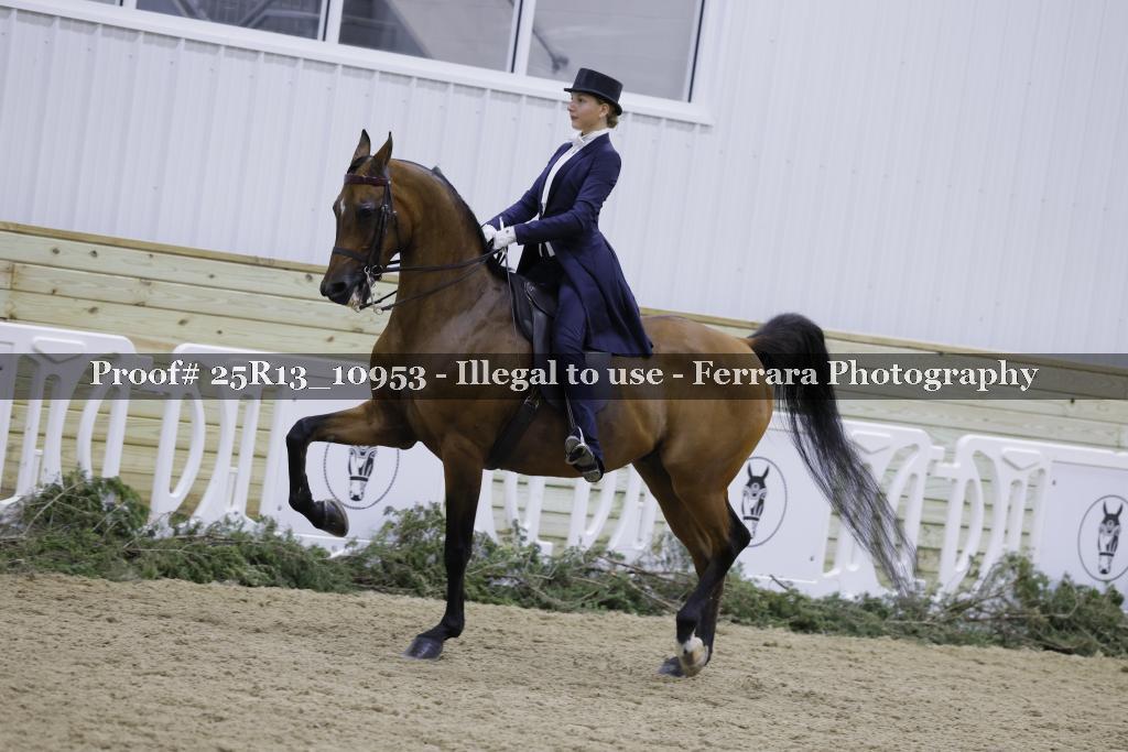 Proof 25R13_10953