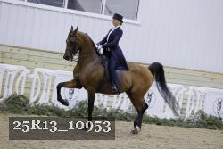 25R13_10953 proof