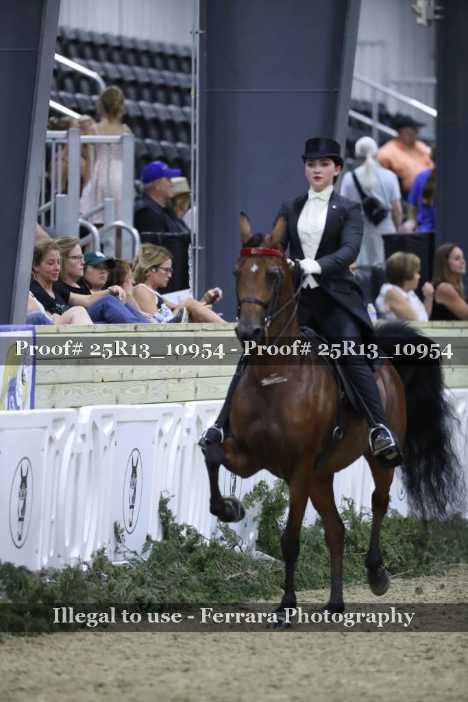 Proof 25R13_10954