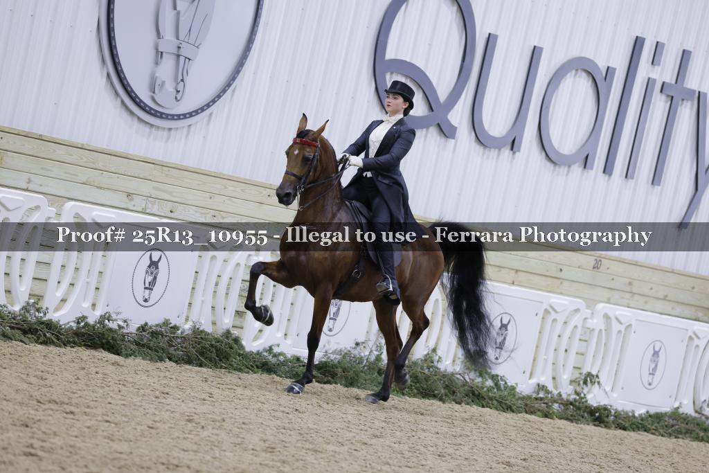 Proof 25R13_10955
