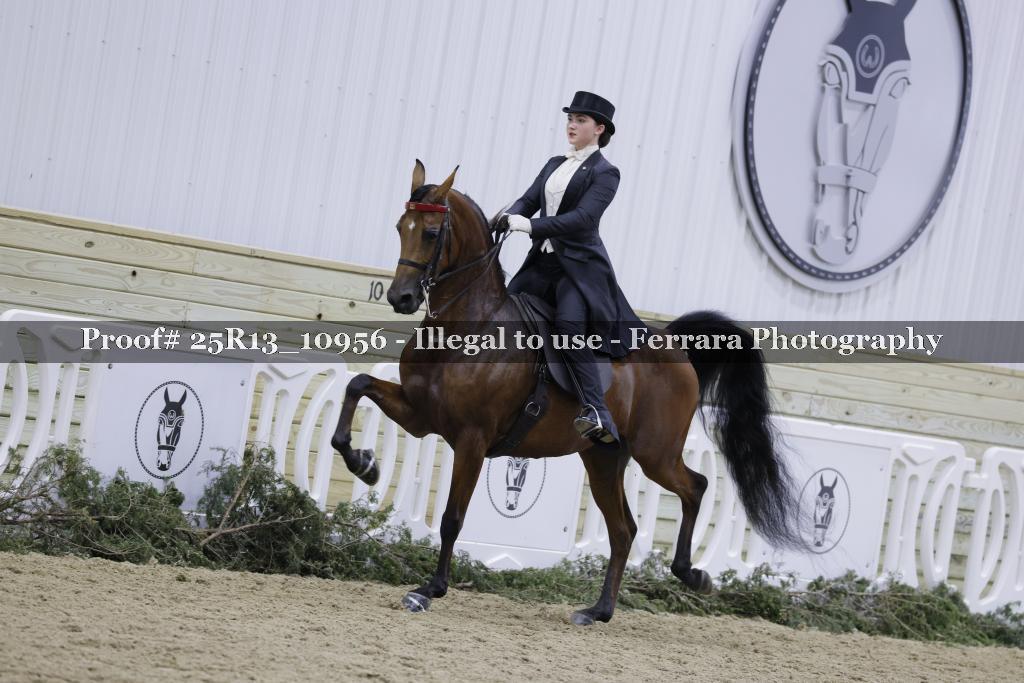 Proof 25R13_10956