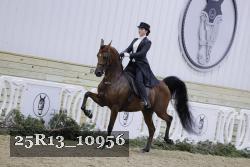 25R13_10956 proof