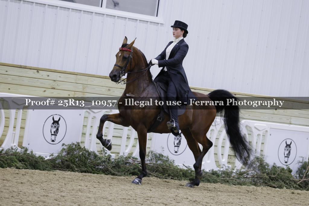 Proof 25R13_10957