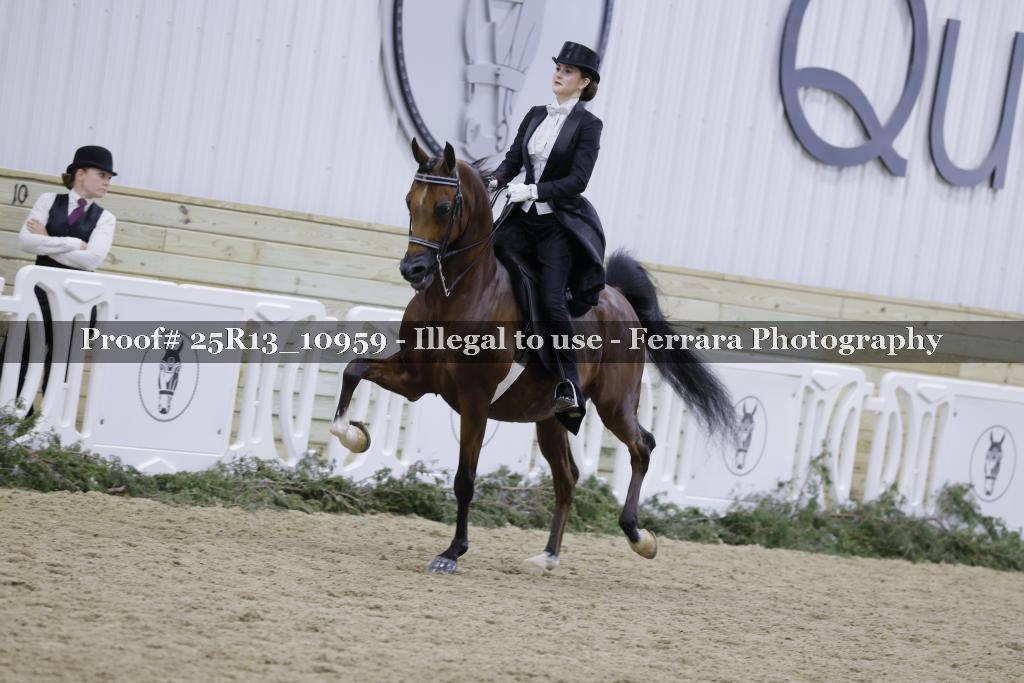 Proof 25R13_10959