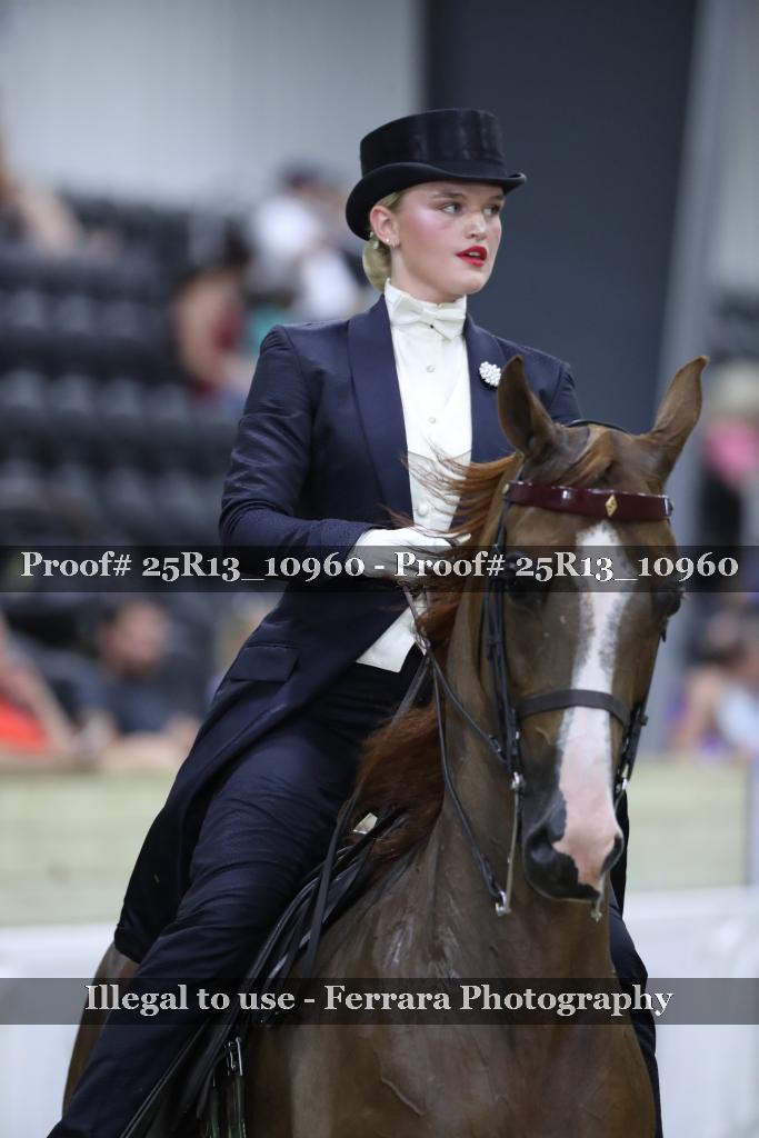 Proof 25R13_10960