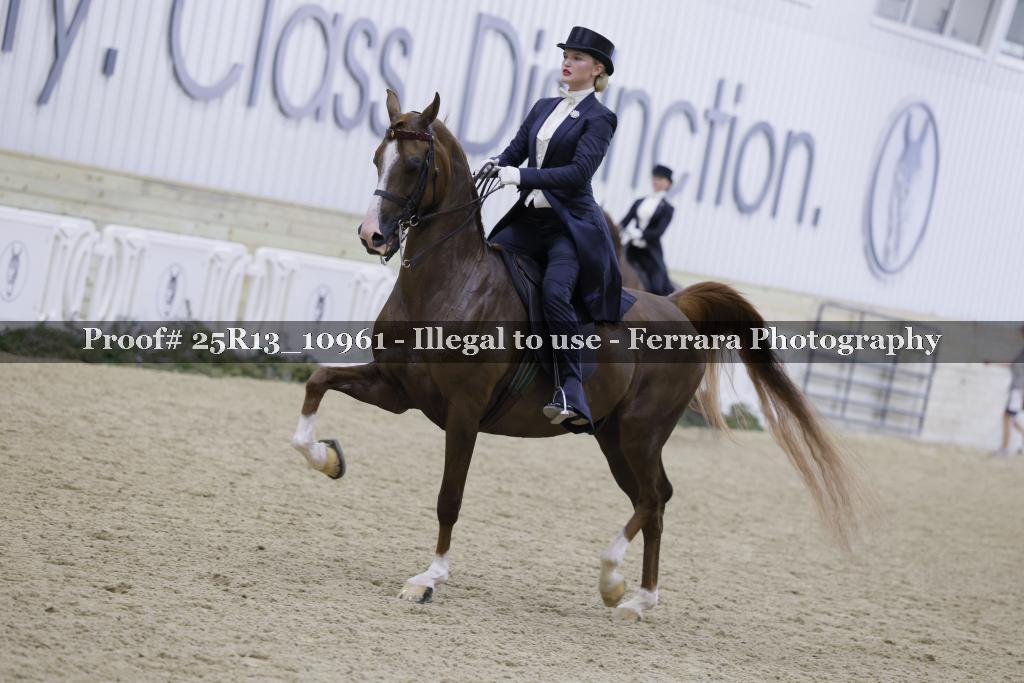 Proof 25R13_10961