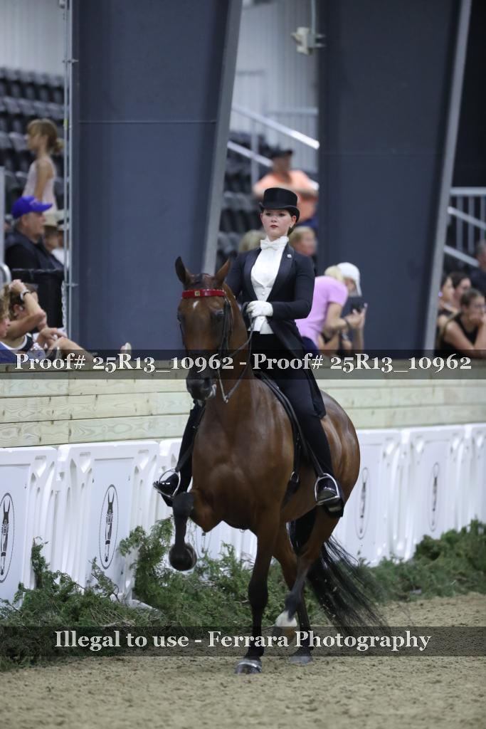 Proof 25R13_10962
