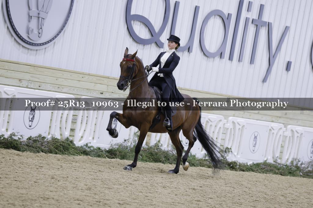 Proof 25R13_10963