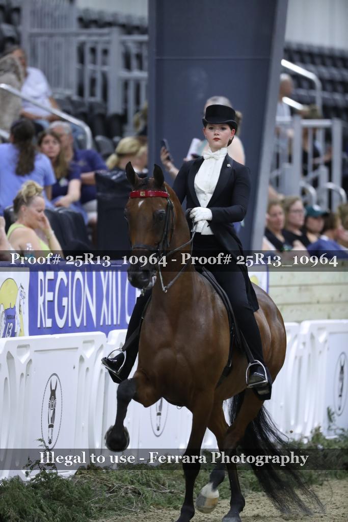 Proof 25R13_10964
