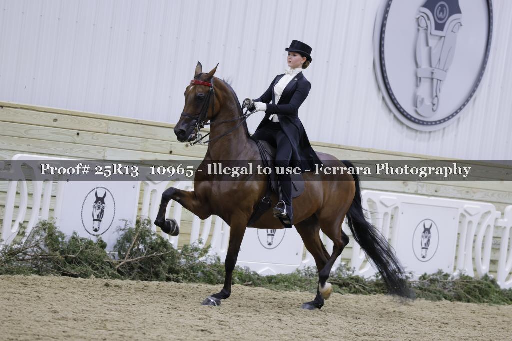 Proof 25R13_10965