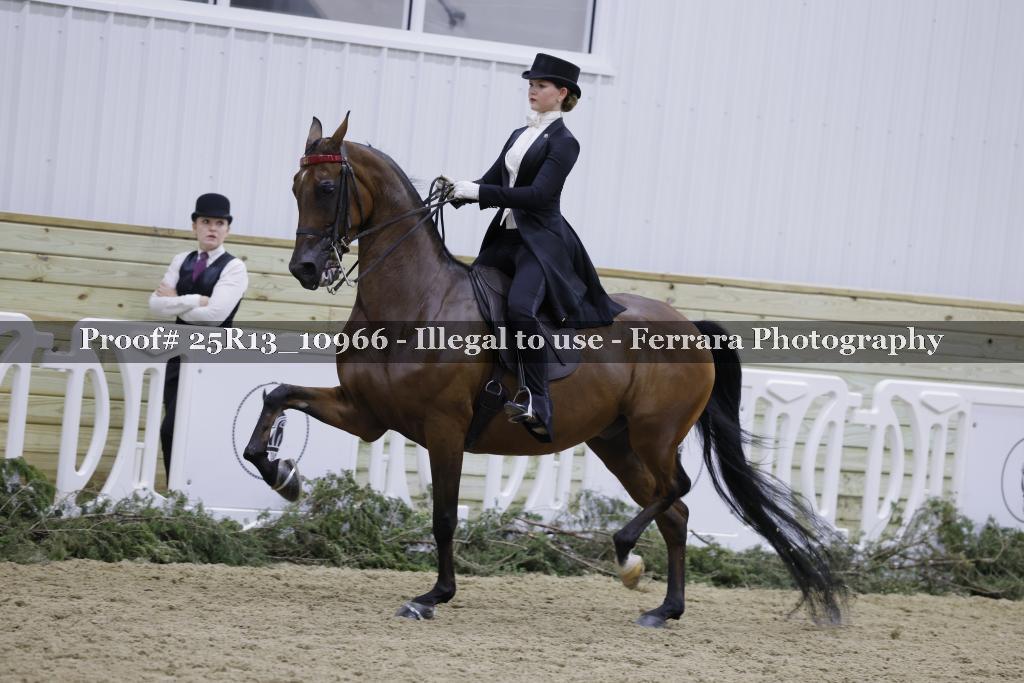 Proof 25R13_10966