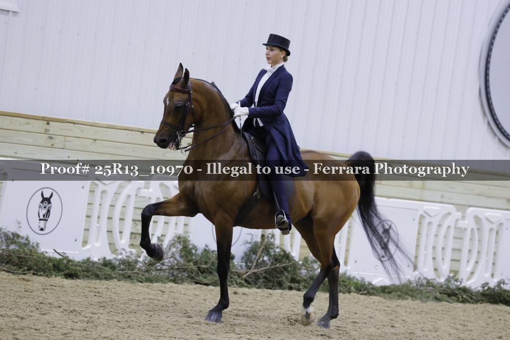 Proof 25R13_10970