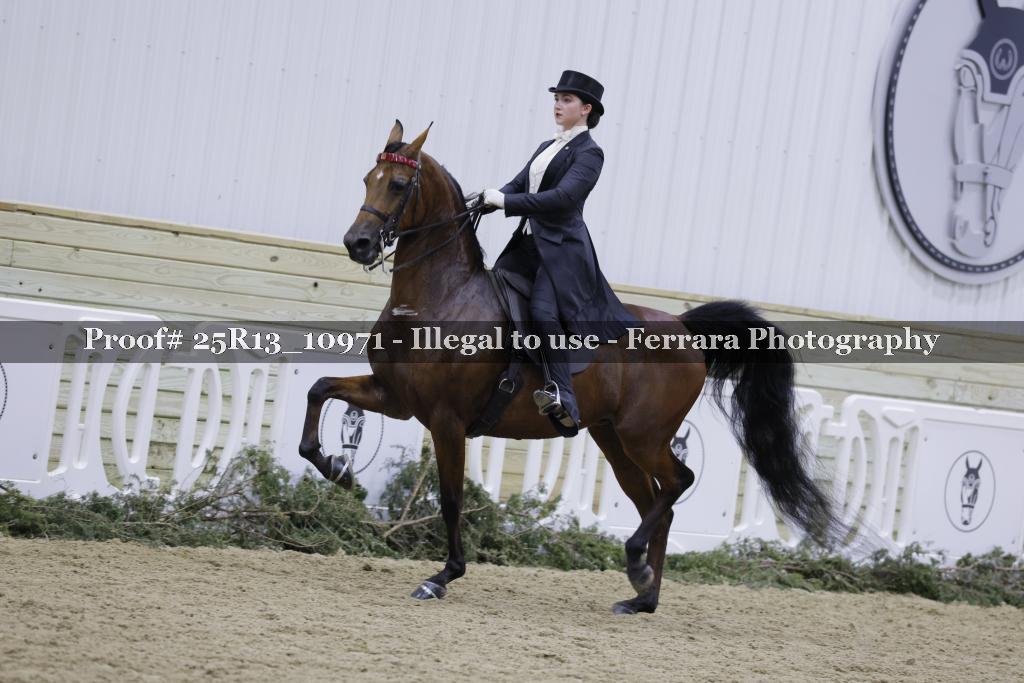 Proof 25R13_10971