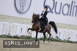 25R13_10972 proof