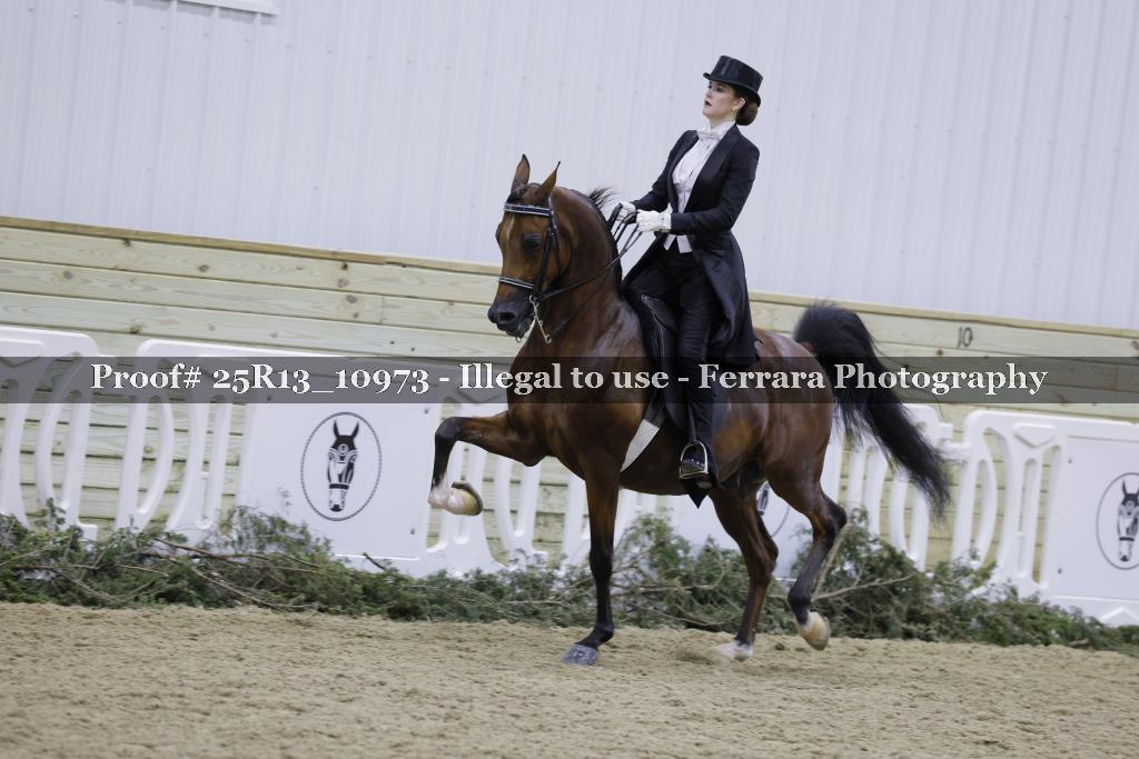 Proof 25R13_10973