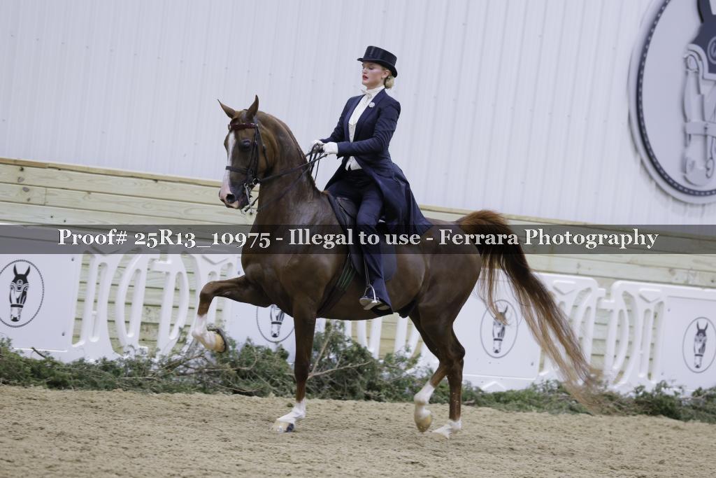 Proof 25R13_10975