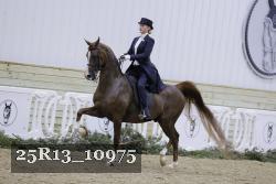 25R13_10975 proof