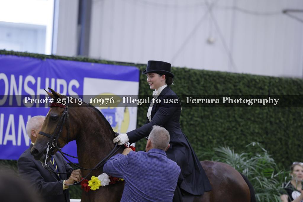 Proof 25R13_10976