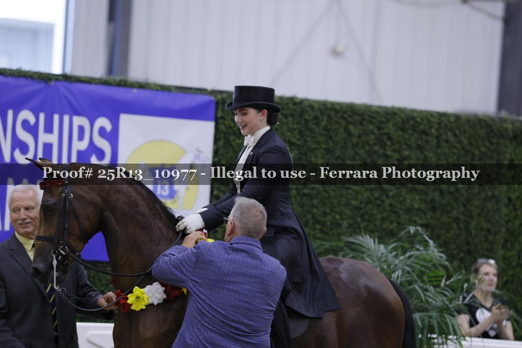 Proof 25R13_10977