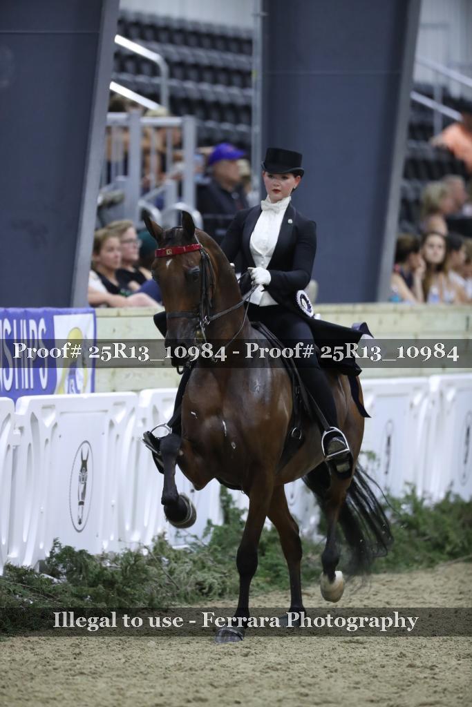 Proof 25R13_10984