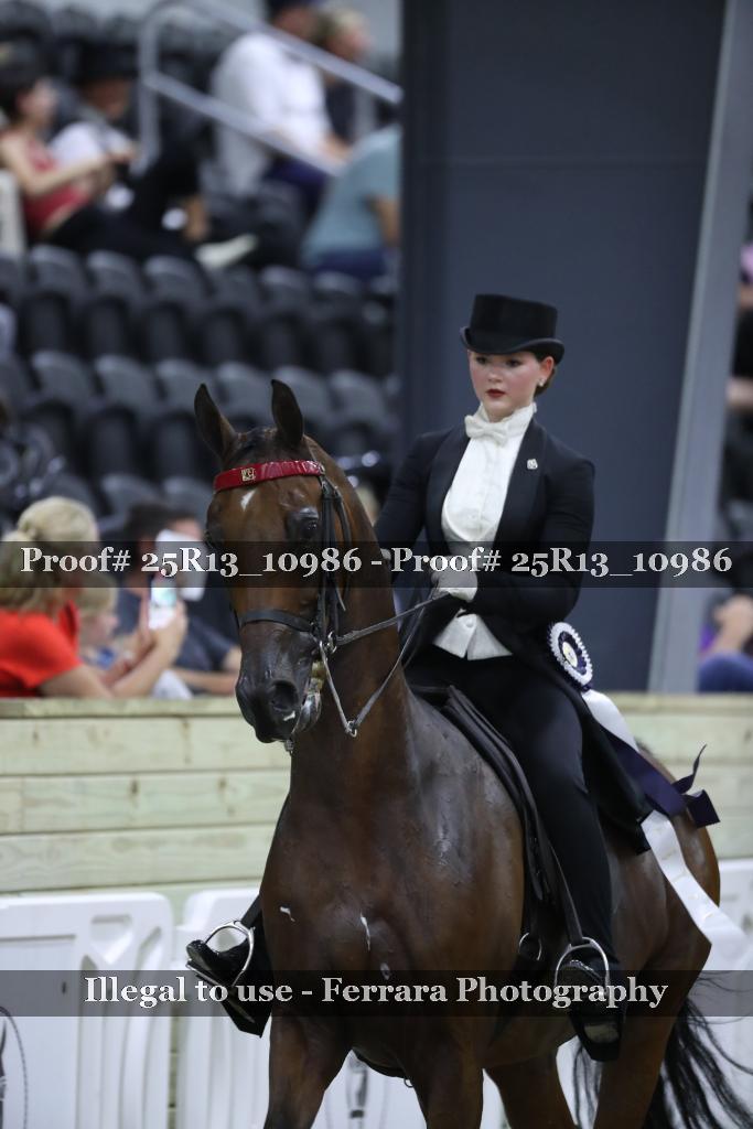 Proof 25R13_10986