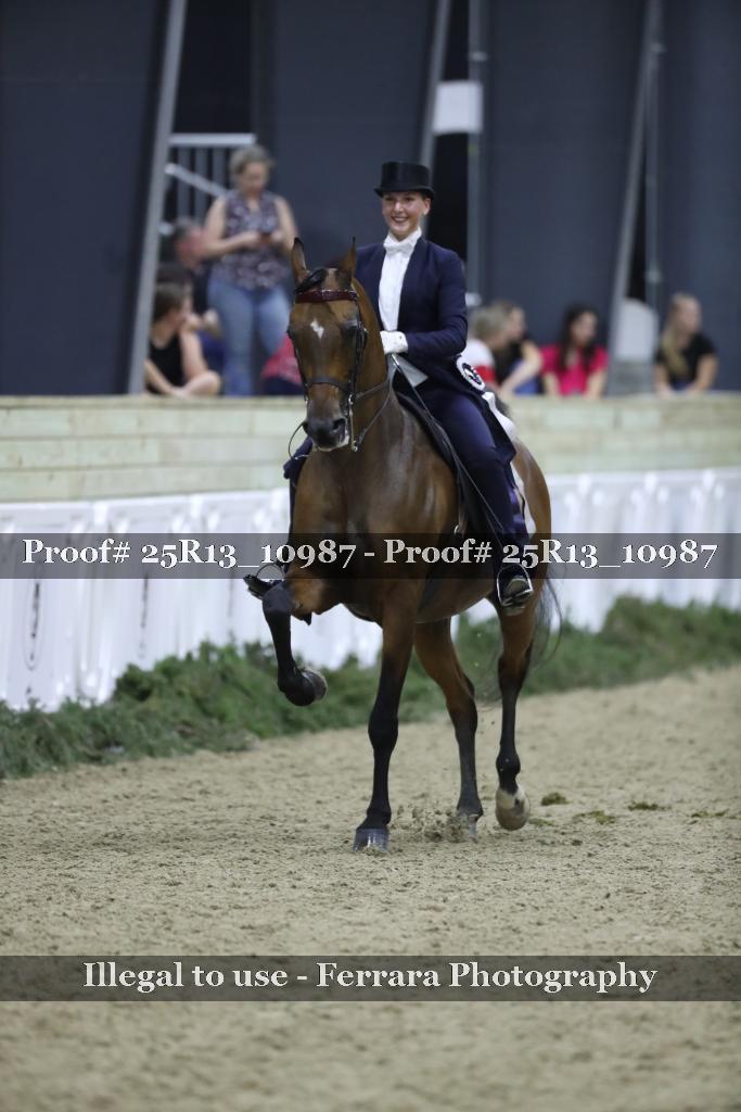Proof 25R13_10987