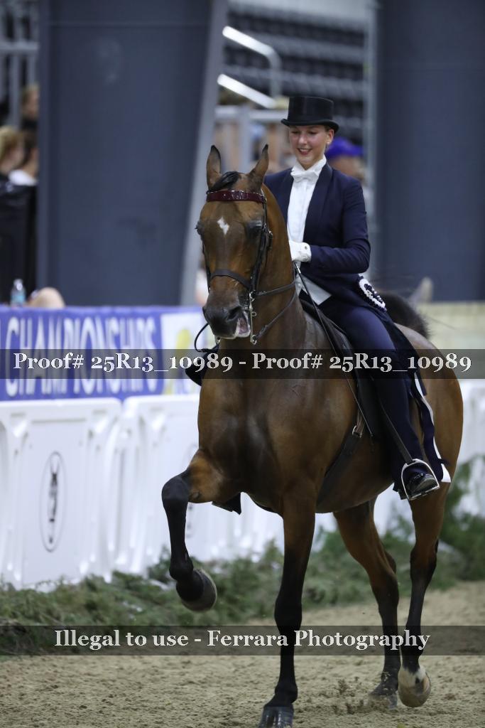 Proof 25R13_10989