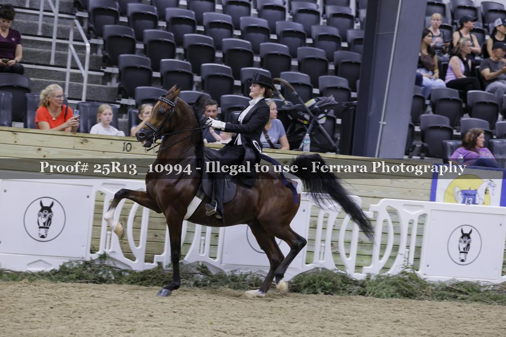 Proof 25R13_10994