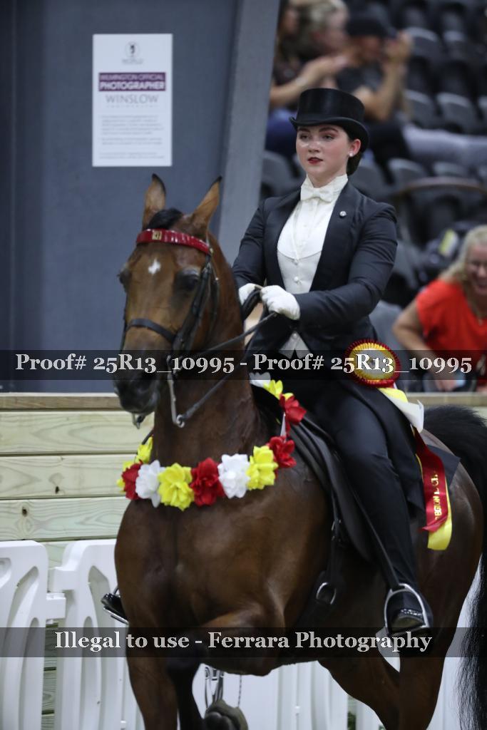 Proof 25R13_10995