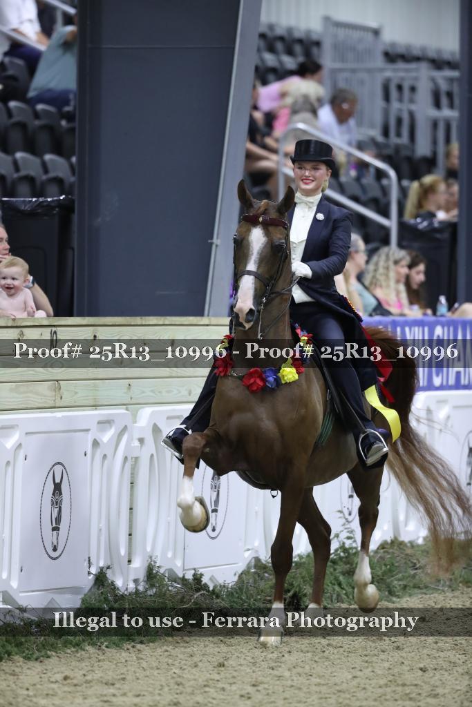 Proof 25R13_10996