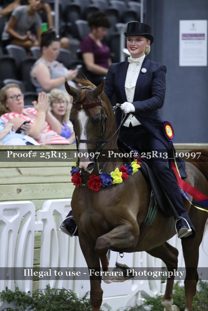 Proof 25R13_10997