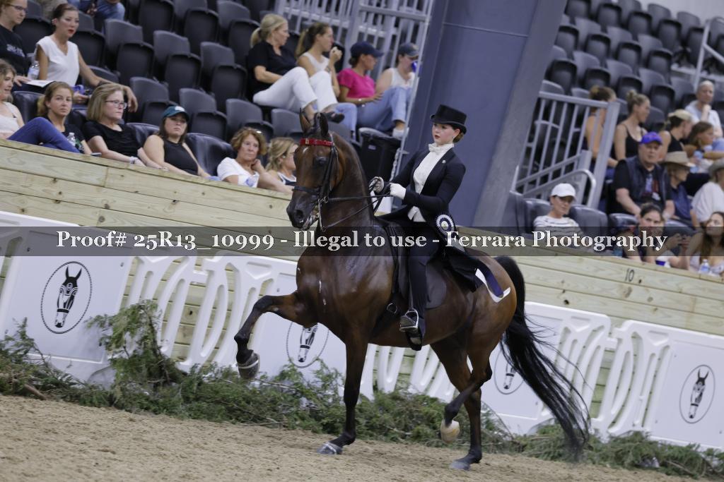 Proof 25R13_10999