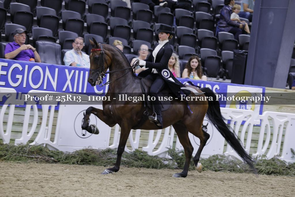 Proof 25R13_11001