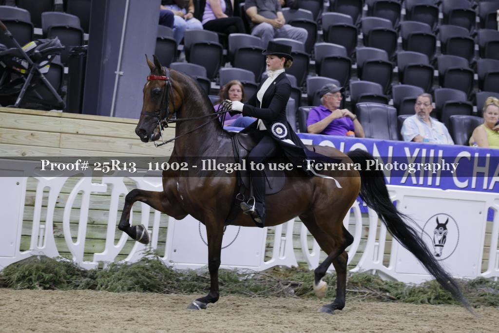 Proof 25R13_11002