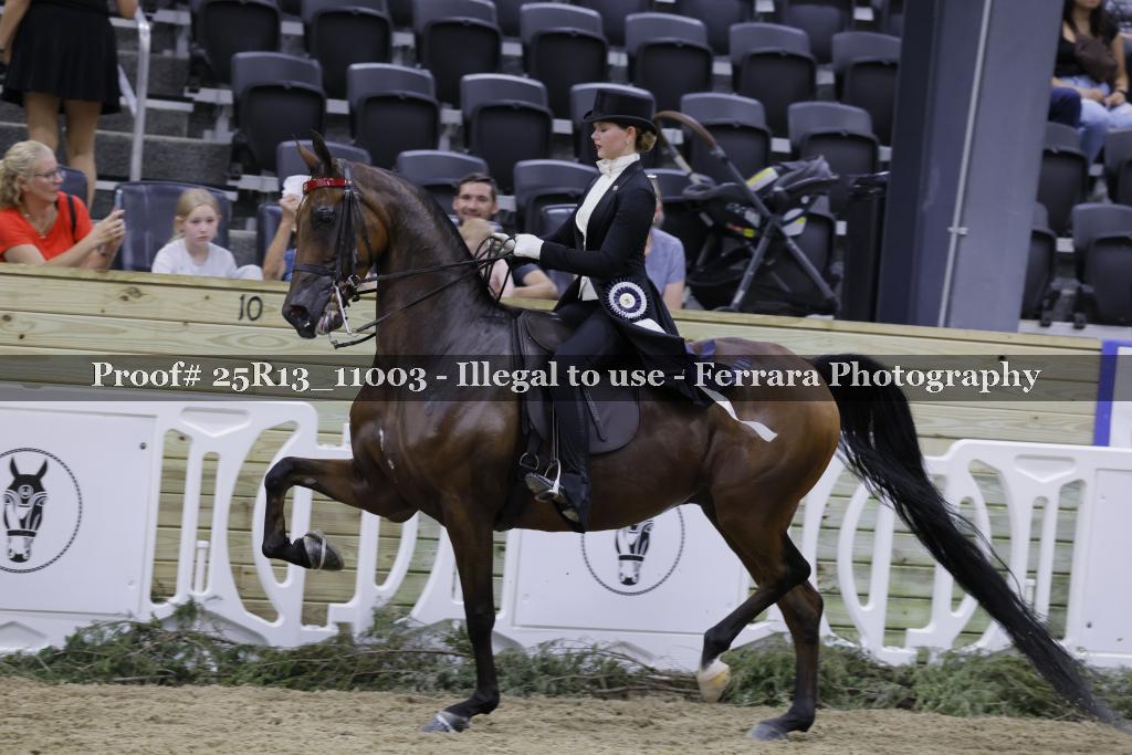 Proof 25R13_11003