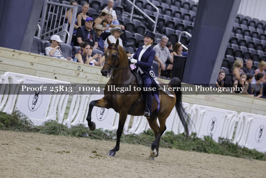 Proof 25R13_11004