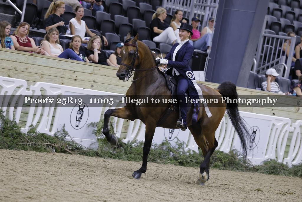 Proof 25R13_11005