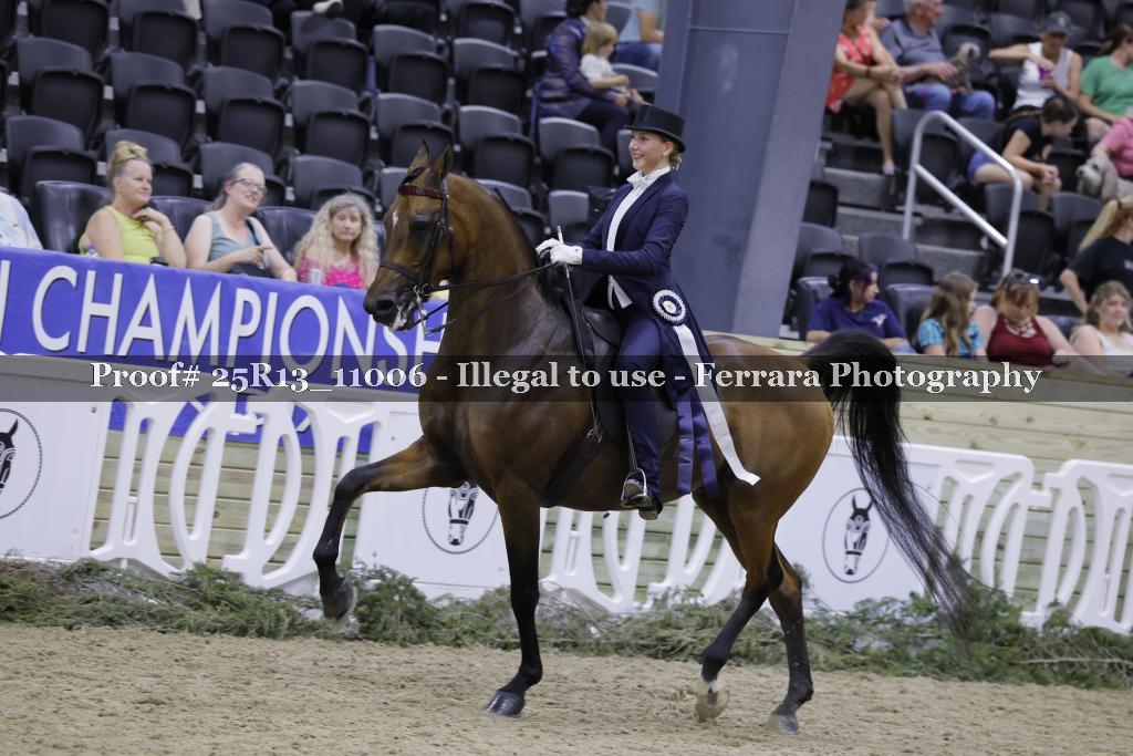 Proof 25R13_11006