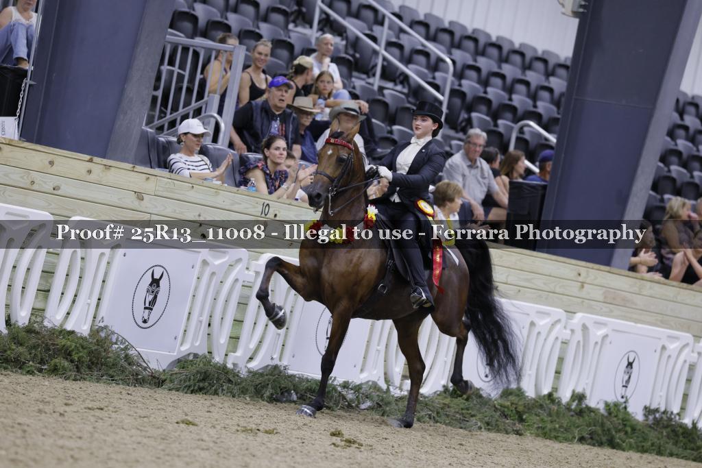 Proof 25R13_11008
