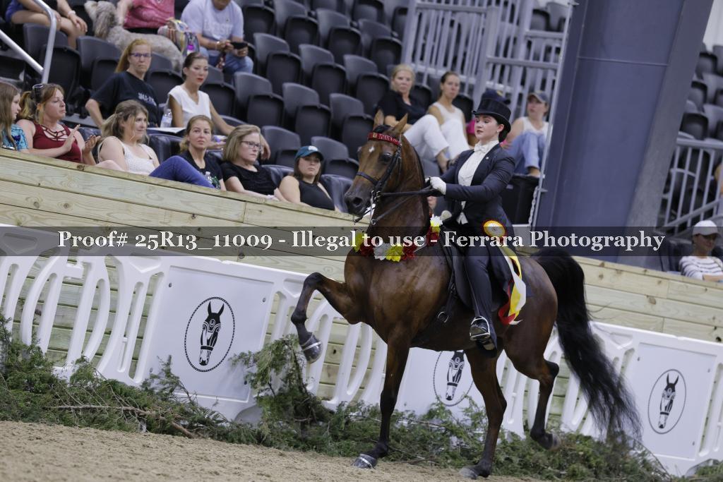 Proof 25R13_11009