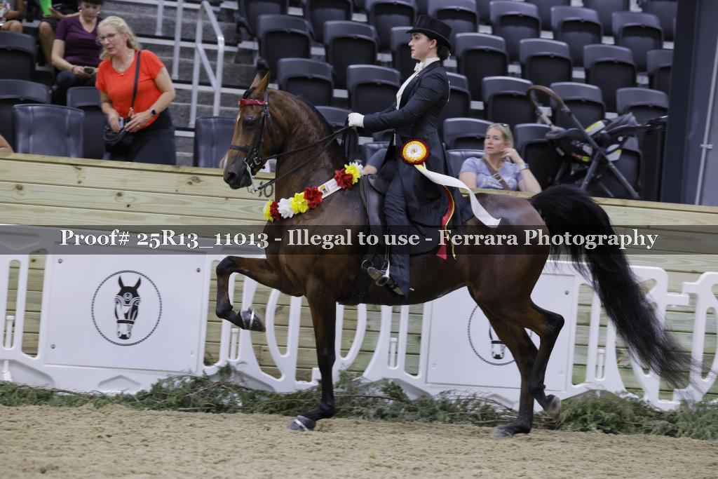 Proof 25R13_11013