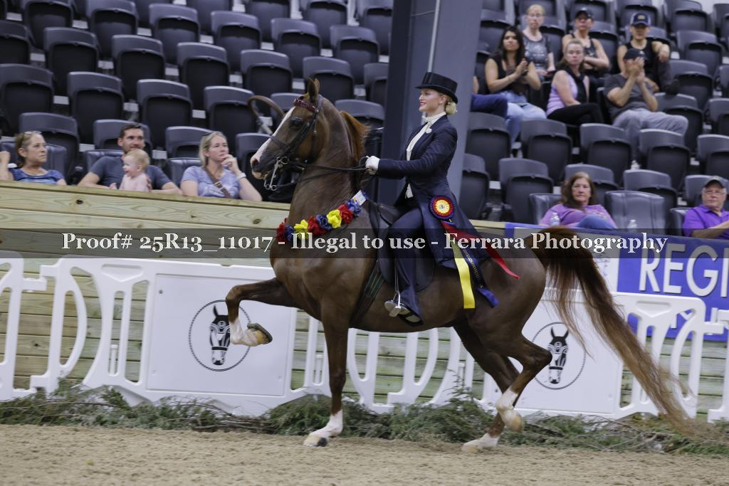 Proof 25R13_11017