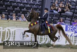 25R13_11017 proof