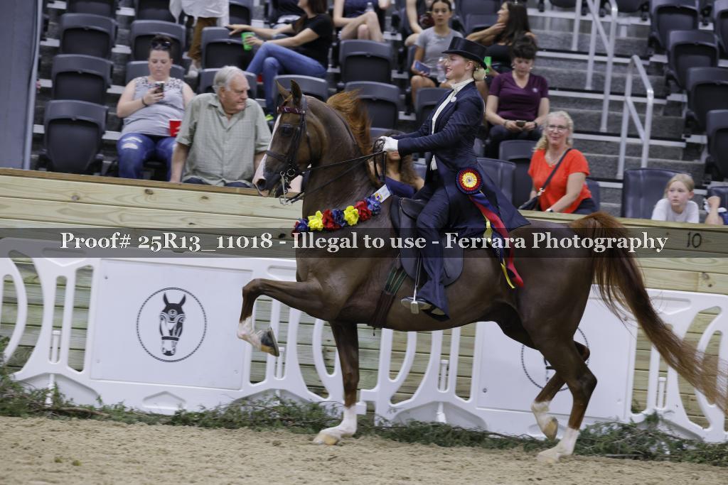 Proof 25R13_11018